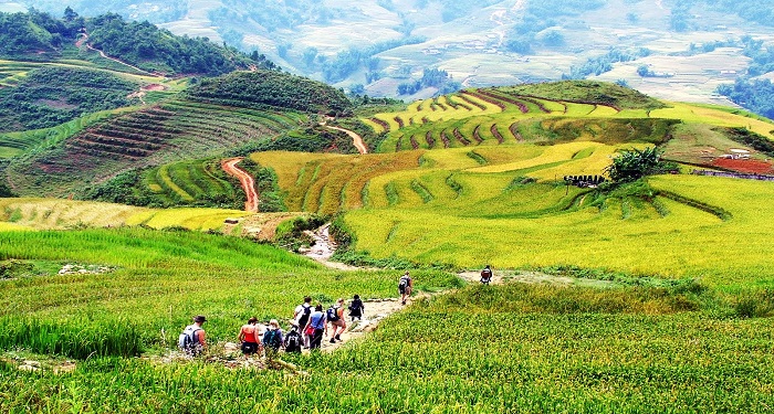 Trekking Tour Sapa with homestay 2 days 3 nights